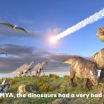 Dinosaurs Had Very Bad Day